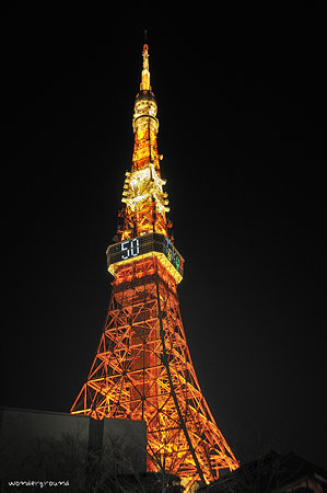 _DSC1117tj