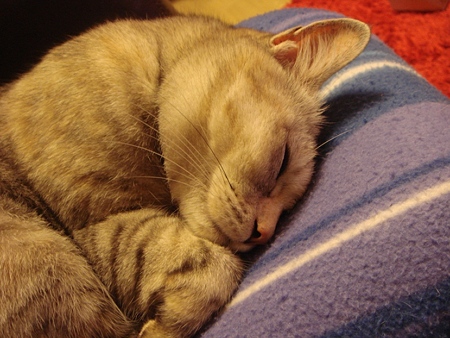 DSC04695
