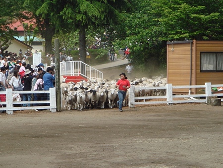 DSC04941