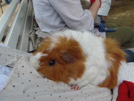 DSC04956