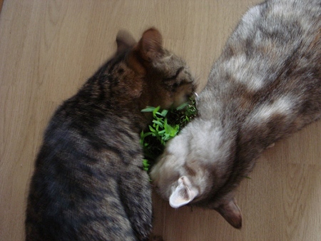 DSC05018
