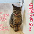 081120-【猫アニメ】待機ちぅでちゅ