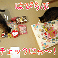 090304-【猫アニメ】はぴらぶチェックにゃ！