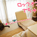 090512-【猫アニメ】ロックオンでちゅ！