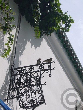 P1600337