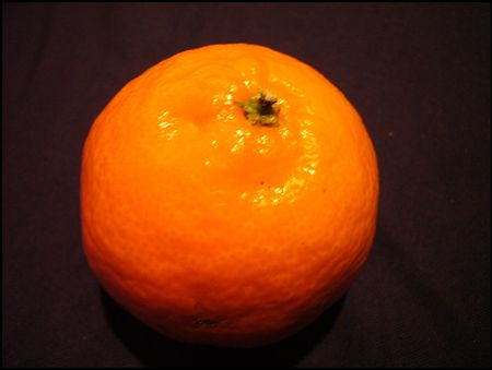 P1850524