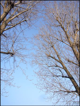 P1860325