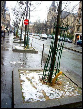 P1860537