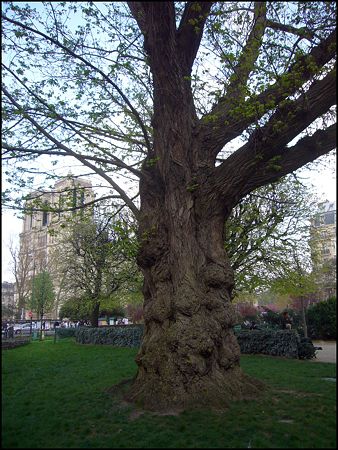 P1950614