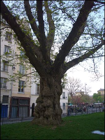 P1950613