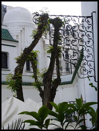 P1990678