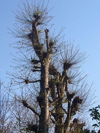 P1510220