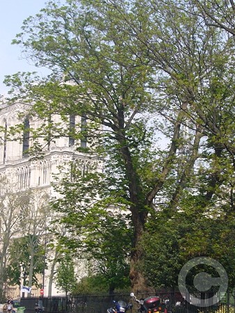 P1530257