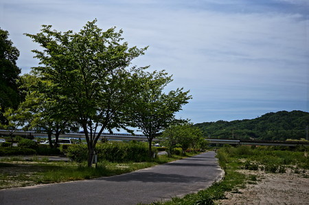 DSC05428