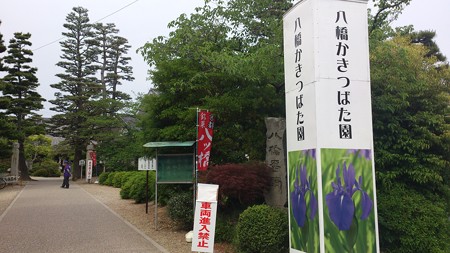 14052010_八橋かきつばた園