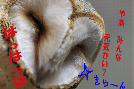 mame H21.3.15 笑顔