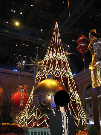 20081205_275