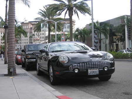 20081207_372