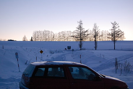 DSC_02292009-01-08_16-31-06