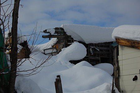 DSC_02542009-01-12_11-14-00