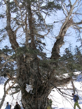 SANY0150