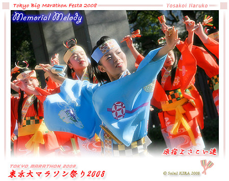 原宿よさこい連_東京大マラソン祭り2008_bf1