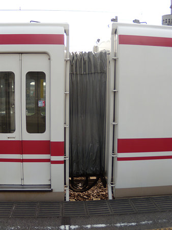 1001F綺麗なホロ