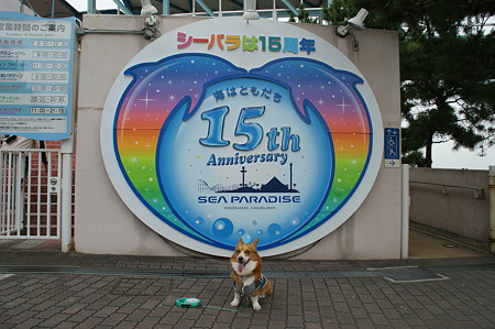 DSC02274