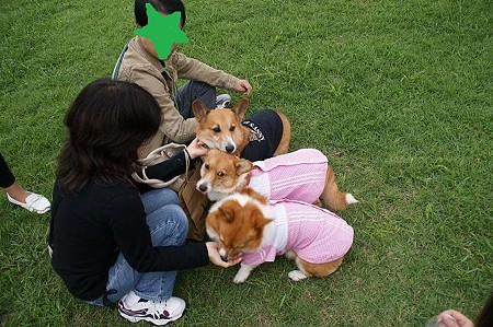 DSC02562