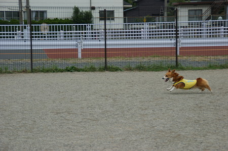 DSC02758