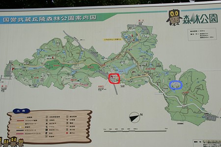 DSC02944