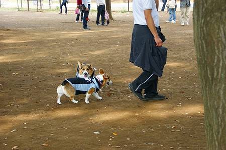 DSC03326