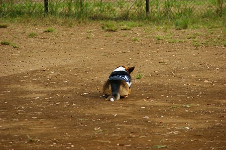 DSC03374