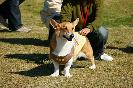DSC03694