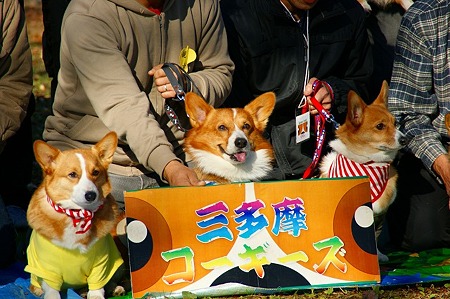 DSC04854