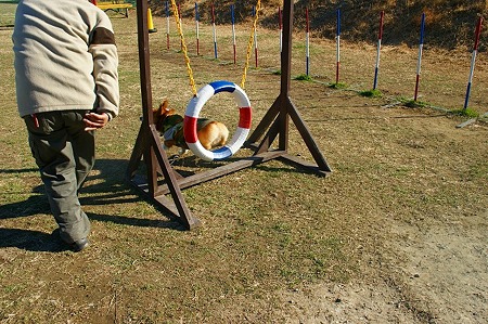 DSC05635