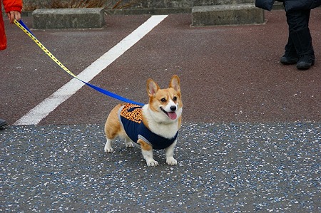 DSC06133