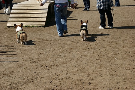 DSC07005