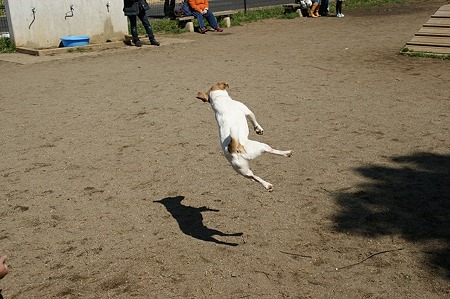 DSC07009