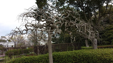20140406_133109