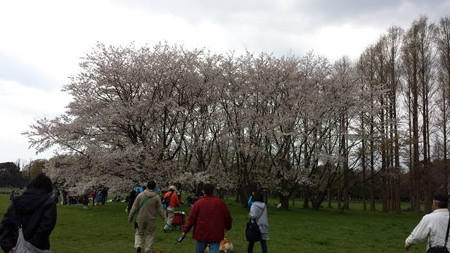 20140406_133548