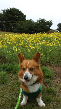 20140506_122929