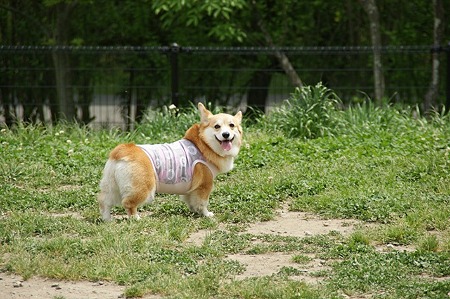 DSC07875