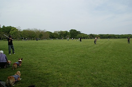 DSC08067
