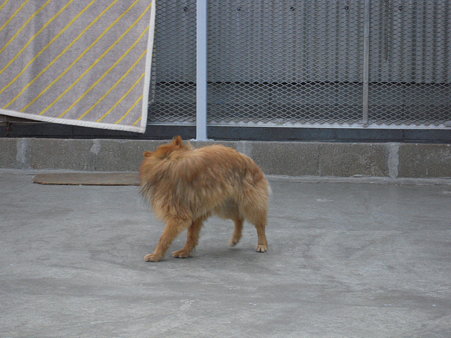 DSCN4154