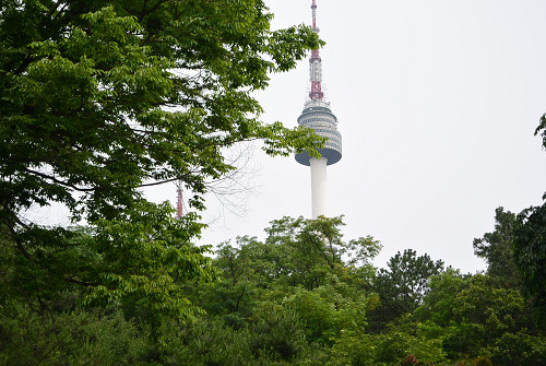 resize0006 写真: resize0006