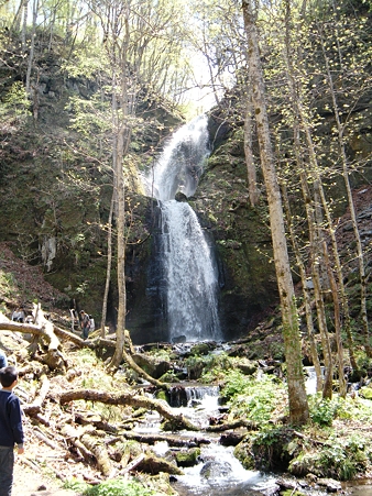 奥入瀬渓流　雲井の滝
