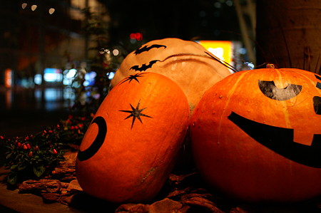 PICT3108・かぼちゃ