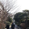 Photos: 早朝散歩・F8パンフォーカス