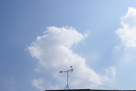 雲とアンテナと鳥